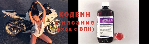 соль ск Сосновка