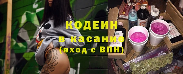 стаф Арсеньев