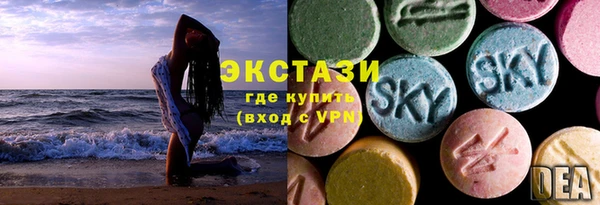 стаф Арсеньев